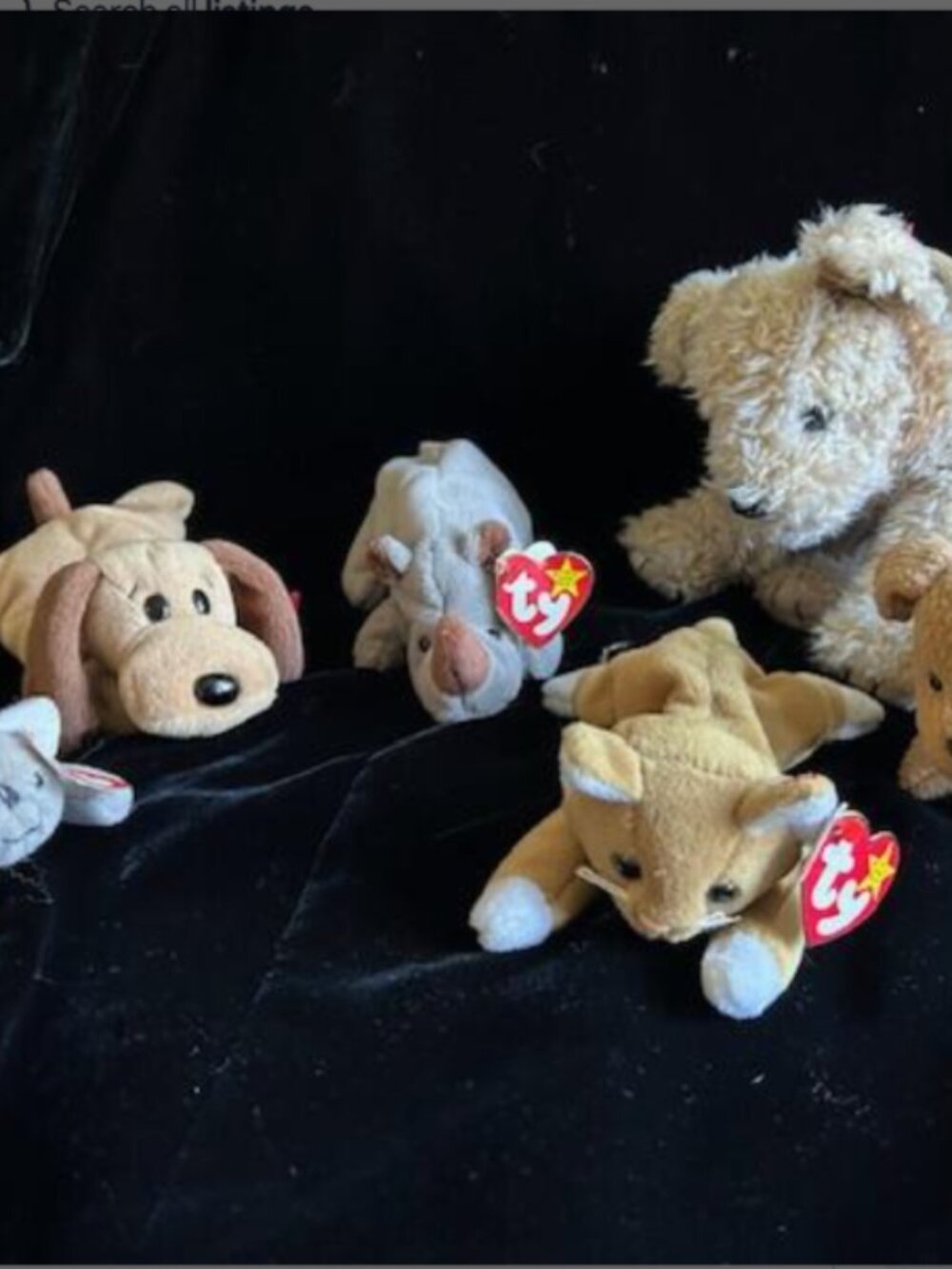 Adorable TY Beanie Babies - Collection of 6 - NWT